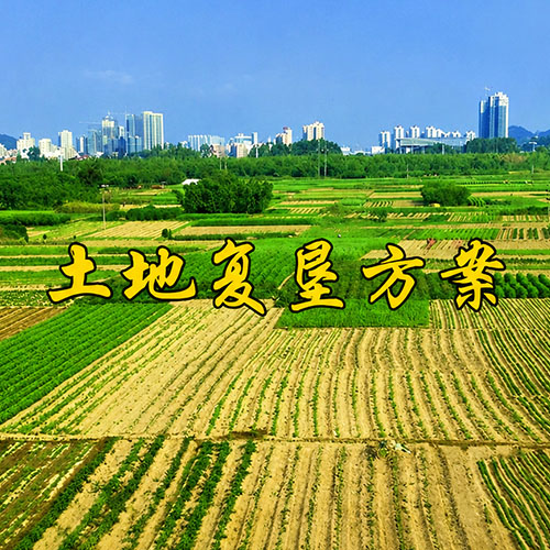 土地复垦报告